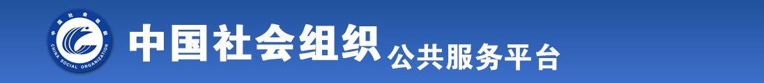 鸡吧操人视频全国社会组织信息查询